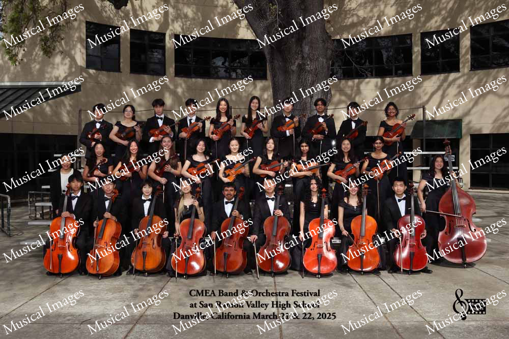Musical Images